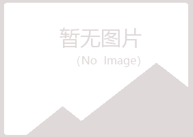 偃师如松会计有限公司